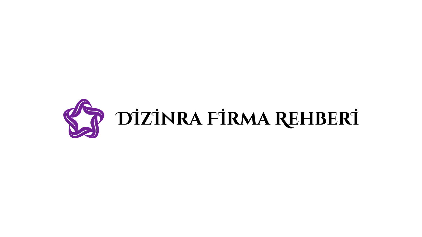 Dizinra Firma Rehberi